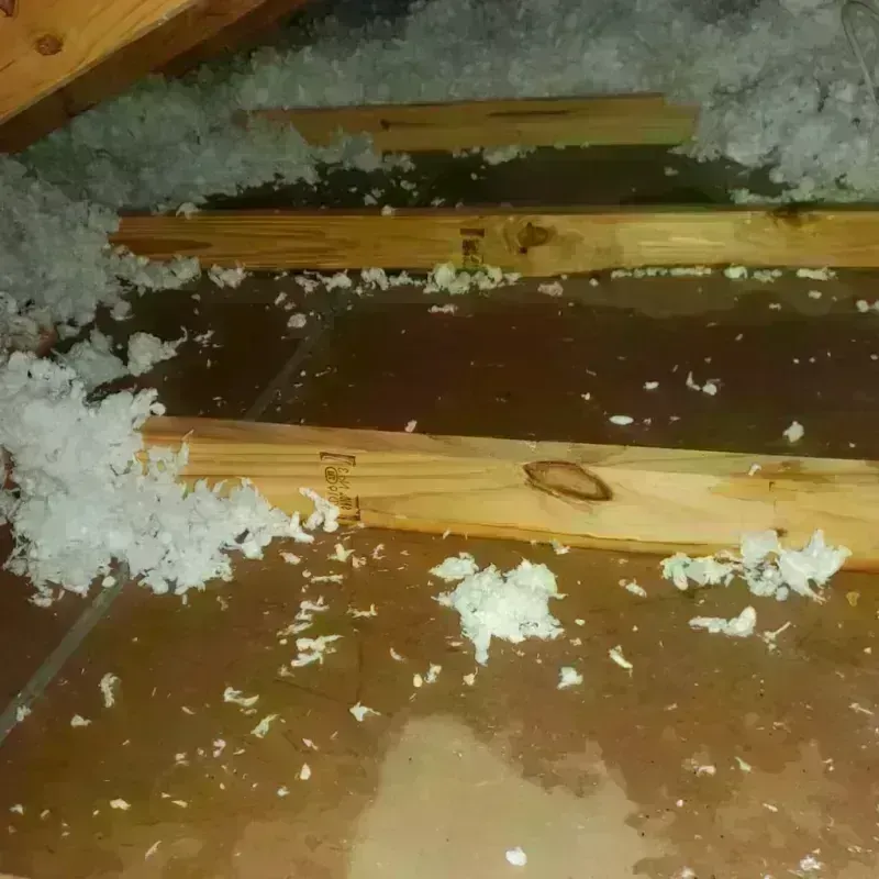 Attic Water Damage in Knox, IN